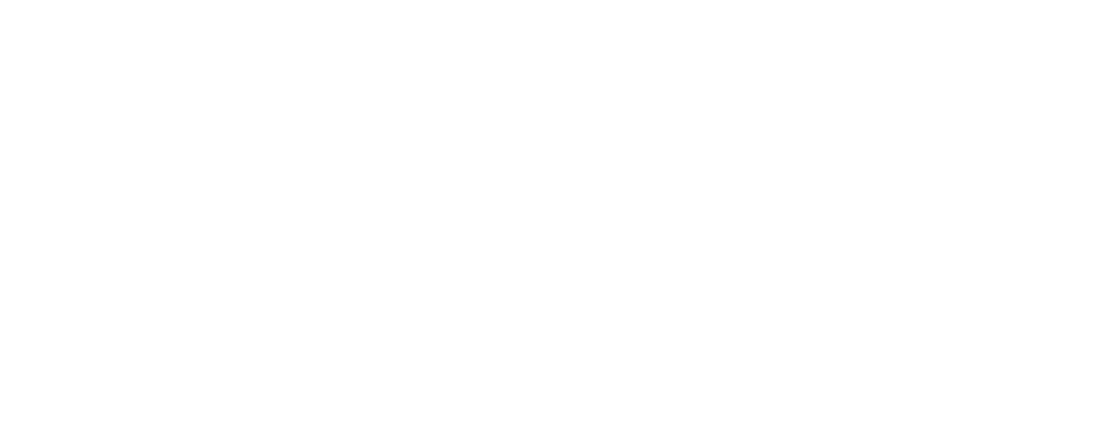 Parasail Englewood logo